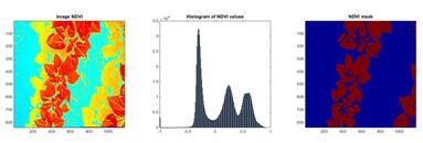 NDVI指数以及图像数据处理