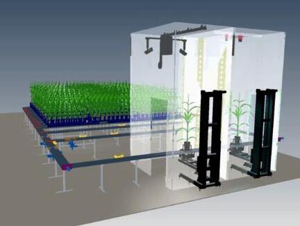 WIWAM系列植物表型成像系统